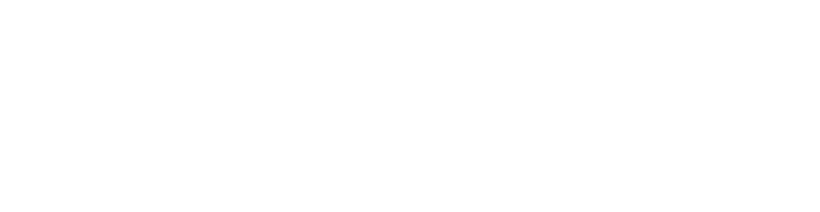 Rankify Marketing Agency - White